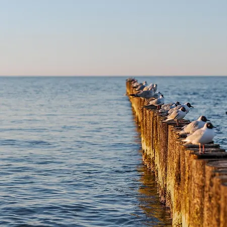 Διαμέρισμα Sunset Waves - Right At The Dziwnówek