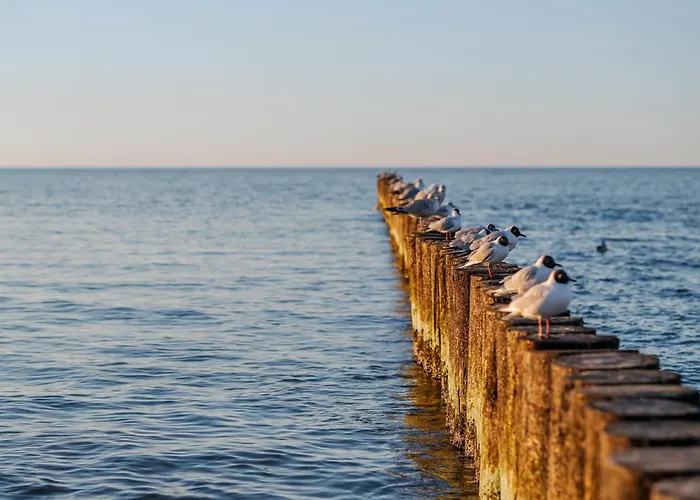 Appartement Sunset Waves - Right At The Dziwnówek